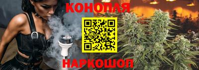 mdpv Бердск