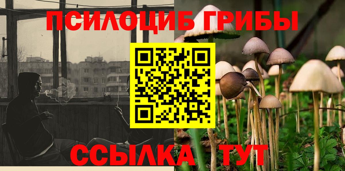Прокопьевск  Псилоцибиновые грибы мухоморы  Вход с VPN 